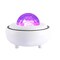 LED Galaxy Starry Projector Ocean Star Sky KTV Party Speaker Strobe Light+Remote